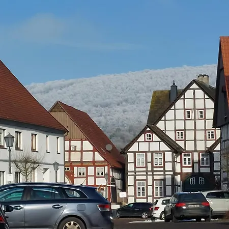 Froschkoenig *