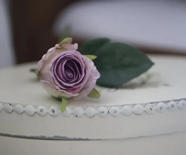 Froschkoenig * Schieder-Schwalenberg